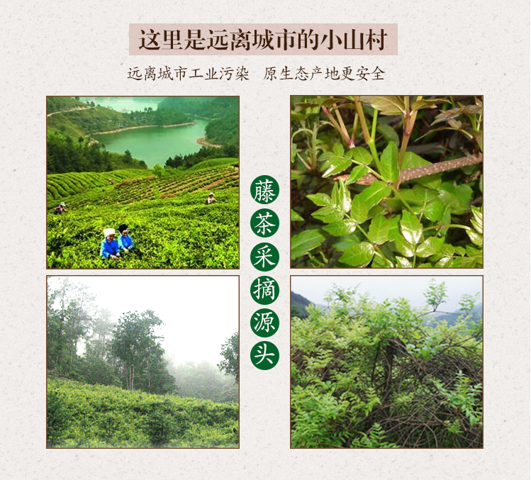 來鳳富硒藤茶